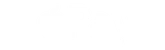 APPLE PAY logo